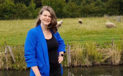 Waarom werkt mijn brein niet?